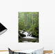Relaxing scenic in the Great Smoky Mountains Wall Mural