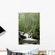 Relaxing scenic in the Great Smoky Mountains Wall Mural