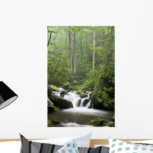 Relaxing scenic in the Great Smoky Mountains Wall Mural