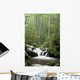 Relaxing scenic in the Great Smoky Mountains Wall Mural