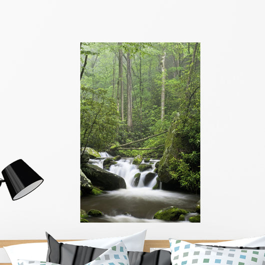 Relaxing scenic in the Great Smoky Mountains Wall Mural
