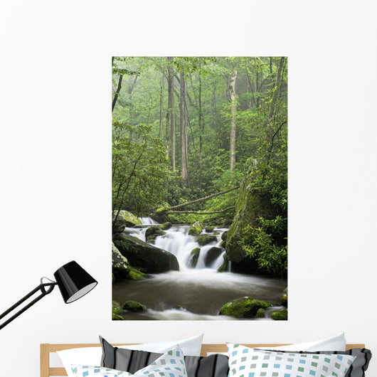 Relaxing scenic in the Great Smoky Mountains Wall Mural