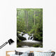 Relaxing scenic in the Great Smoky Mountains Wall Mural