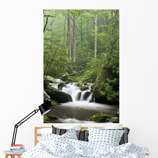 Relaxing scenic in the Great Smoky Mountains Wall Mural