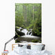 Relaxing scenic in the Great Smoky Mountains Wall Mural