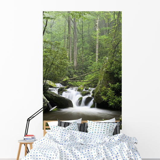 Relaxing scenic in the Great Smoky Mountains Wall Mural