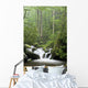 Relaxing scenic in the Great Smoky Mountains Wall Mural