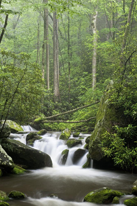 Relaxing Scenic In The Great Smoky Mountains Wall Decal