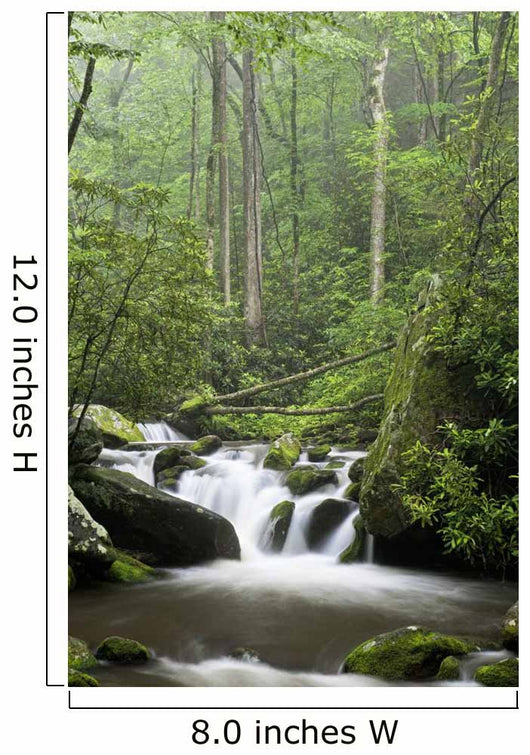 Relaxing scenic in the Great Smoky Mountains Wall Mural
