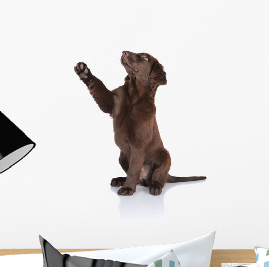 Puppy Gives Paw Wall Decal