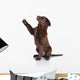 Puppy Gives Paw Wall Decal