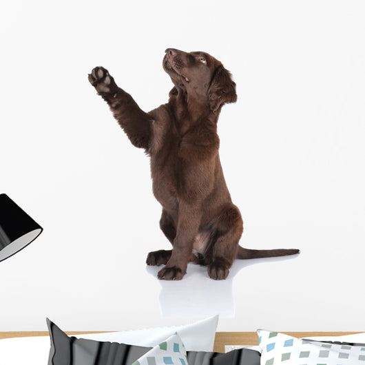 Puppy Gives Paw Wall Decal