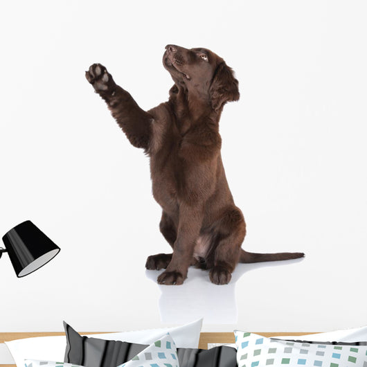 Puppy Gives Paw Wall Decal