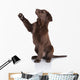 Puppy Gives Paw Wall Decal