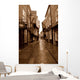york shambles Wall Mural