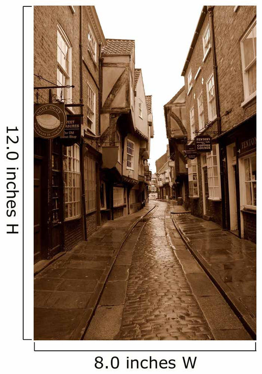 york shambles Wall Mural