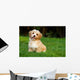 Happy Little Orange Havanese Wall Decal