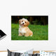 Happy Little Orange Havanese Wall Decal