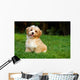 Happy Little Orange Havanese Wall Decal