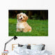 Happy Little Orange Havanese Wall Decal