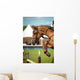 Equestrian Wall Mural