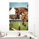 Equestrian Wall Mural