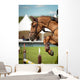 Equestrian Wall Mural