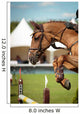 Equestrian Wall Mural