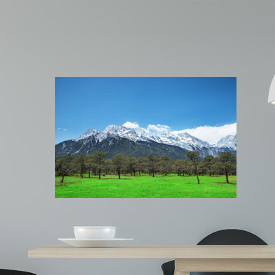 Pine Forest and Jade Wall Decal shown on a wall