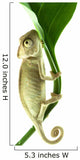 Chameleon on flower. Wall Decal