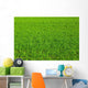 Lawn Wall Decal