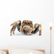 jumping spider Wall Mural