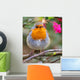 ROBIN REDBREAST Wall Mural