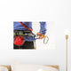 Woman wearing climbing equipment Wall Mural