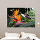 Flying Hummingbird Strelitzia Flower Wall Decal