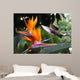 Flying Hummingbird Strelitzia Flower Wall Decal