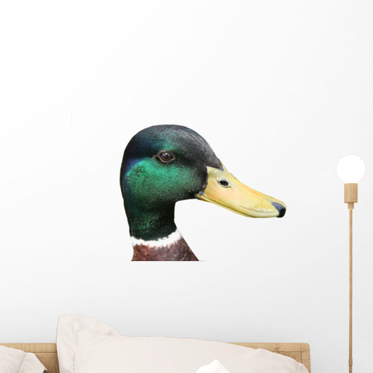 mallard Wall Decal