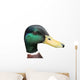 mallard Wall Decal