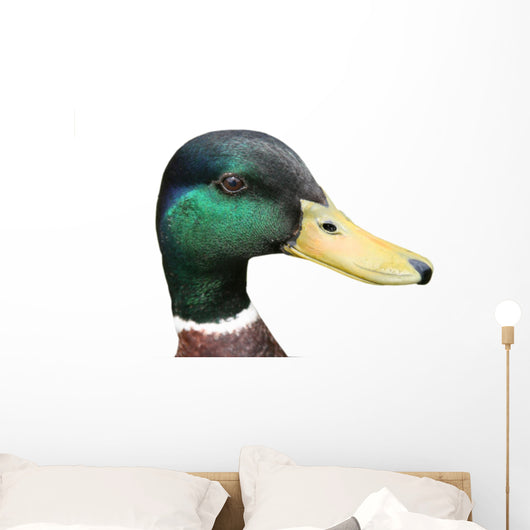 mallard Wall Decal