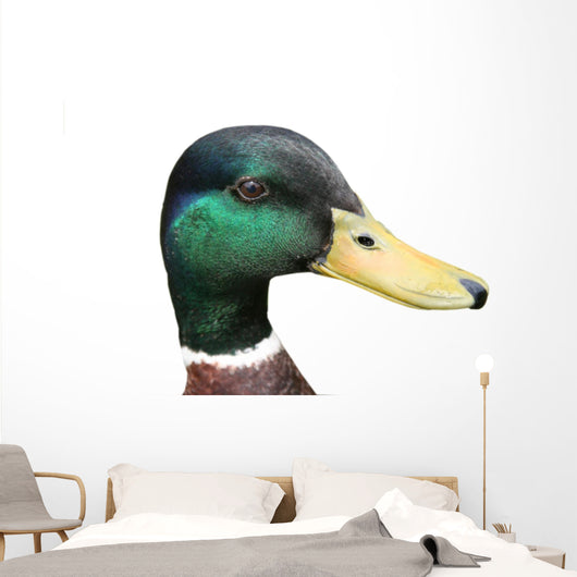 mallard Wall Decal