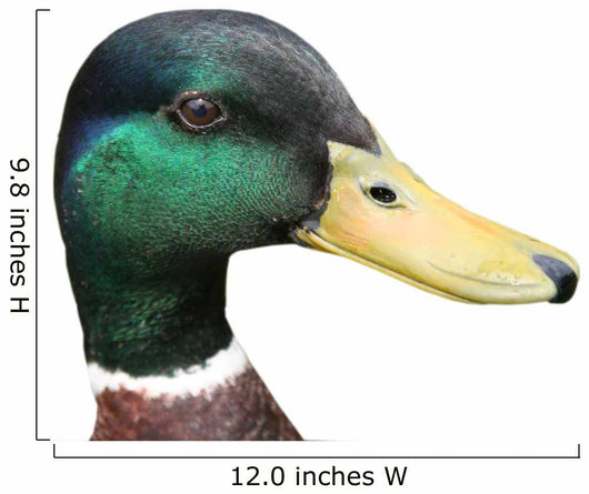 mallard Wall Decal