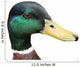 mallard Wall Decal