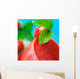 Fresh Strawberries & Smoothie Wall Mural