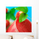 Fresh Strawberries & Smoothie Wall Mural