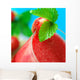 Fresh Strawberries & Smoothie Wall Mural