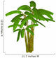 Banana Tree Wall Decal