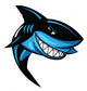 Shark Vector Illustration Wall Decal