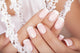 Beautiful Woman's Nails With French Manicure. Wall Decal