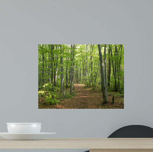 Konica Minolta Digital Camera Wall Decal