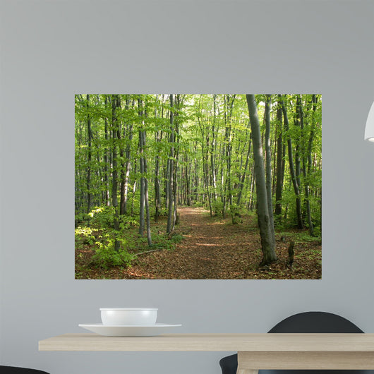 Konica Minolta Digital Camera Wall Decal